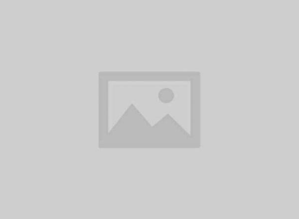 placeholder_portfolio