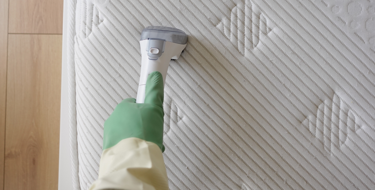 How Often Should Upholstery Be Professionally Cleaned?