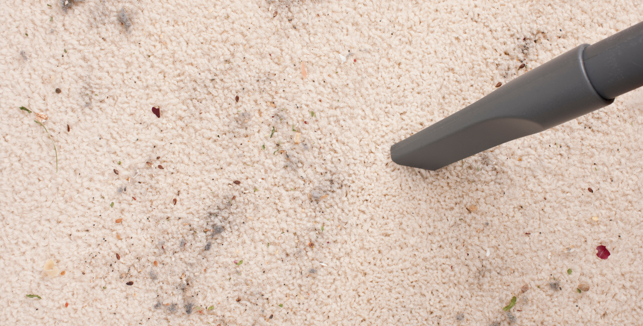 Why Professional Cleaning Saves Money in the Long Run