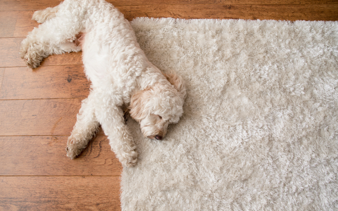 Effective Techniques for Cleaning Rugs